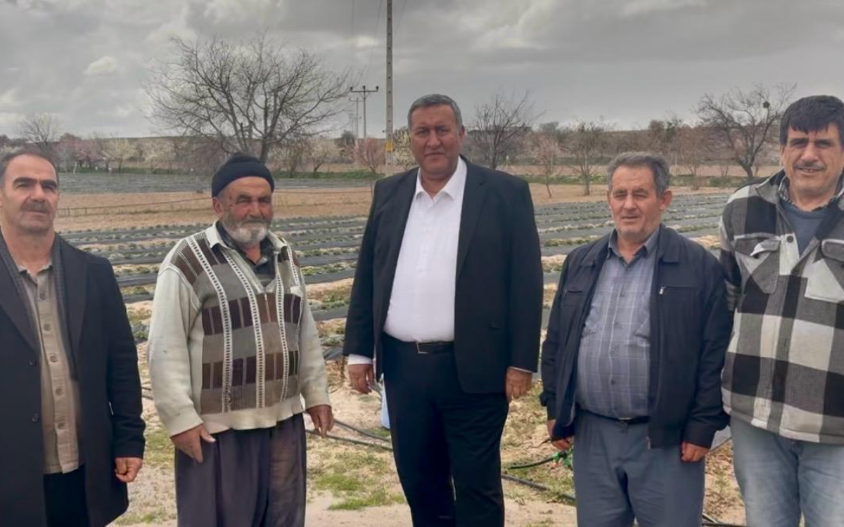 Niğdeli çilek üreticisi: Krediye giren tarlasını kaybediyor