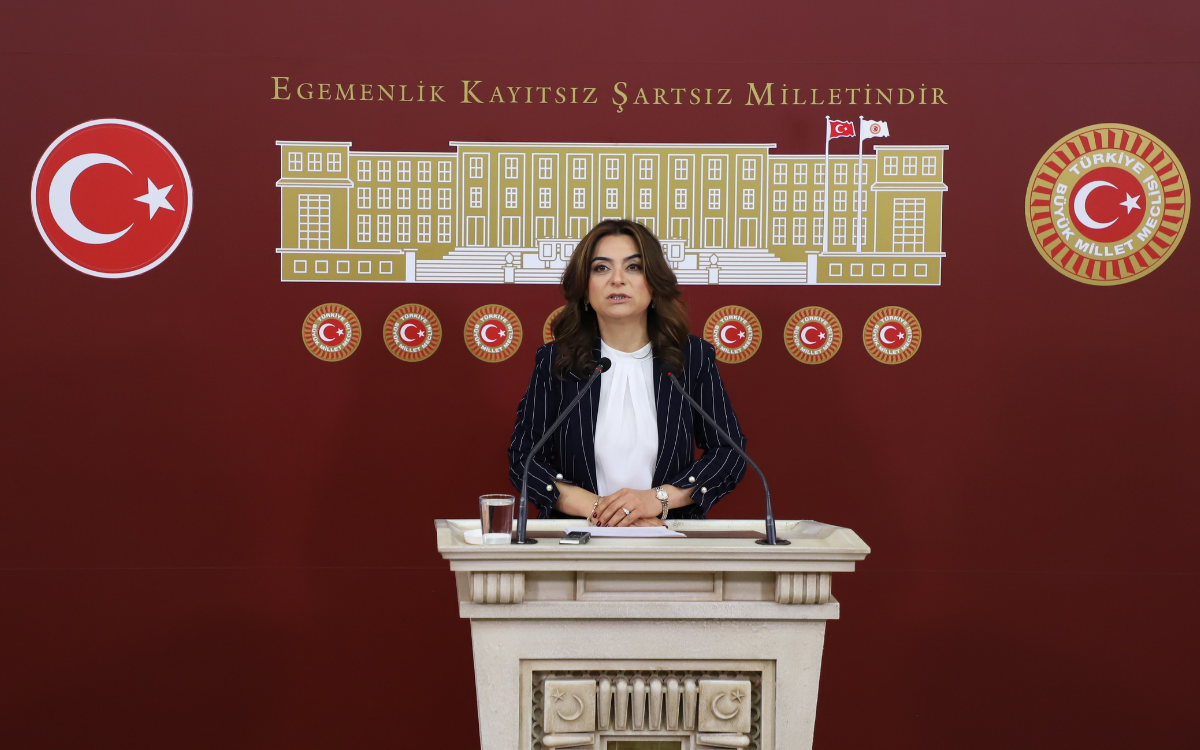 Koçyiğit: Yasa yapma ihtiyacının zorunluluğu açık ve net