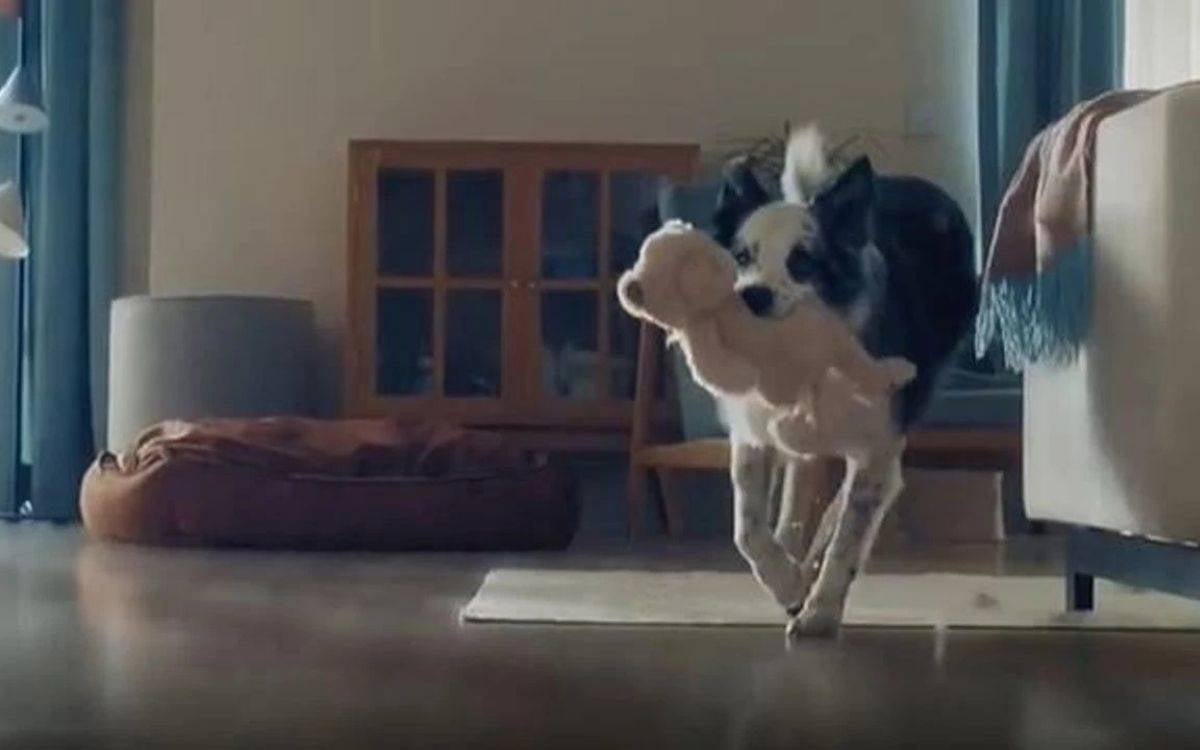 Yeni Şafak hedef gösterdi, Bosch Türkiye’nin "köpek annesi" reklamı yayından kaldırıldı