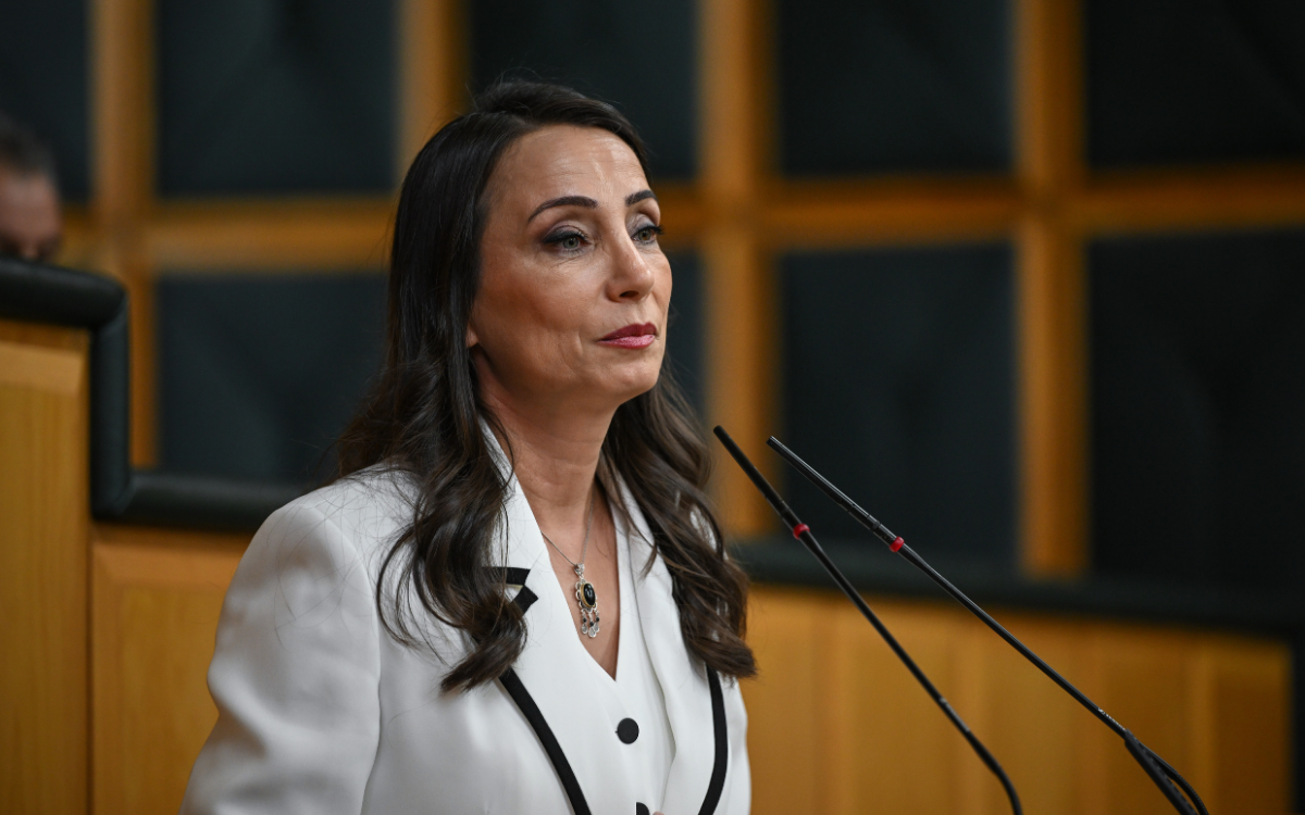Tülay Hatimoğulları: İyi niyet beyanlarıyla bu süreç yürütülemez