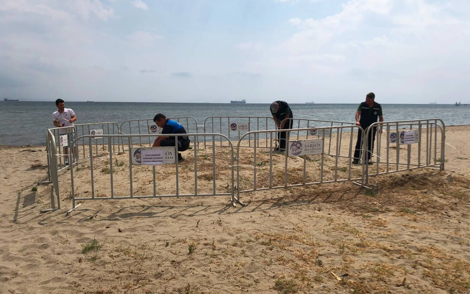 Şarköy'de nesli tehlikedeki kum zambakları için koruma çemberi