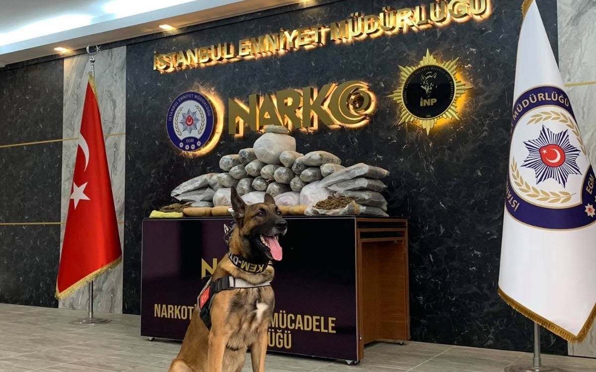 Almanya’nın uyuşturucu ticareti suçlamasıyla aradığı kişi İstanbul’da yakalandı