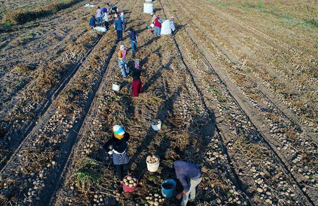 Sıcakta çalışmak ölümcül:  İşçiler destek bekliyor