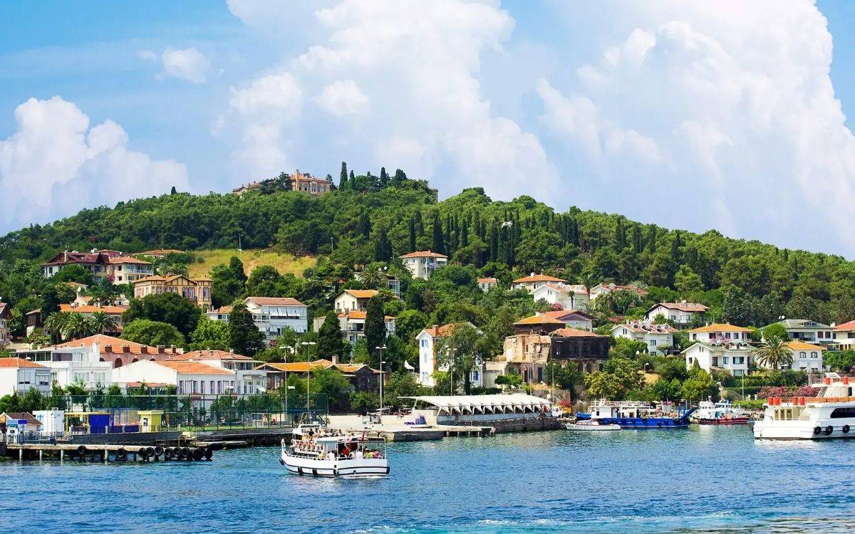 Burgazada’da akülü araç tepkisi: 2 günde 270 imza toplandı