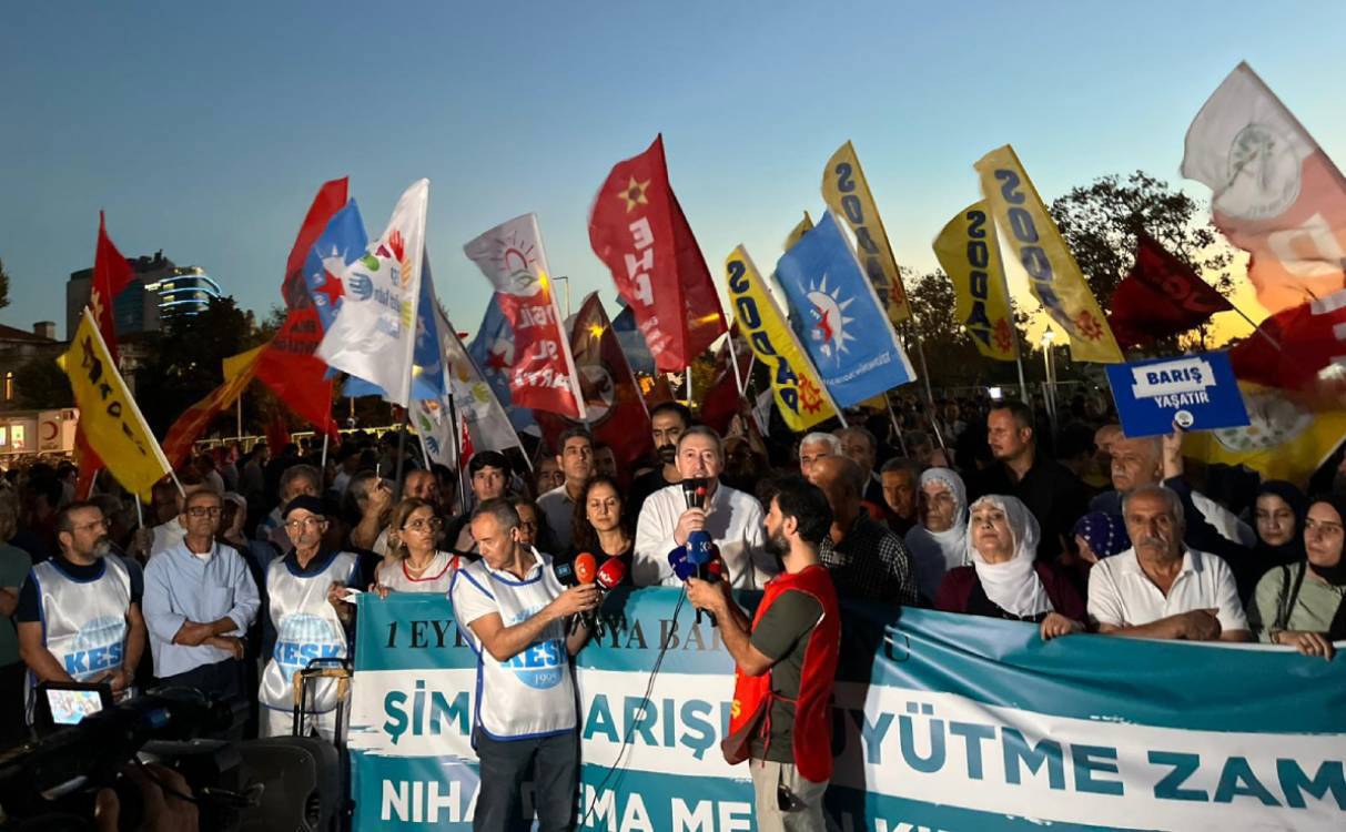 Li Amed, Enqere, Wan û  Stenbolê 1ê Îlonê: Bi hezaran kes bi daxwaza aştiyê li qadan bûn