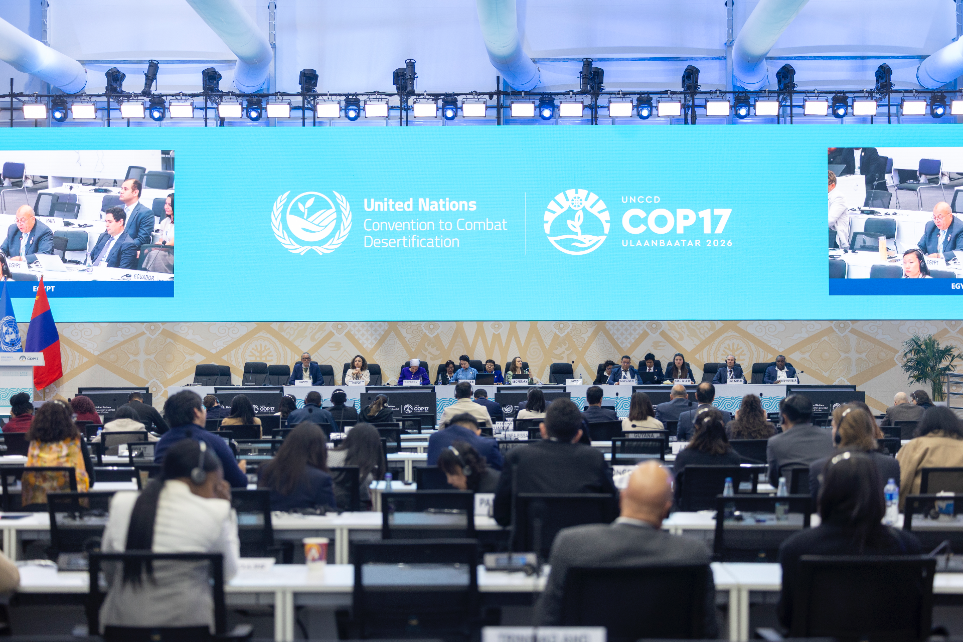 COP17’nin ardından: Dünya meralar için 1,2 milyar dolar ayırdı, Türkiye meralarının yarısını kaybetti