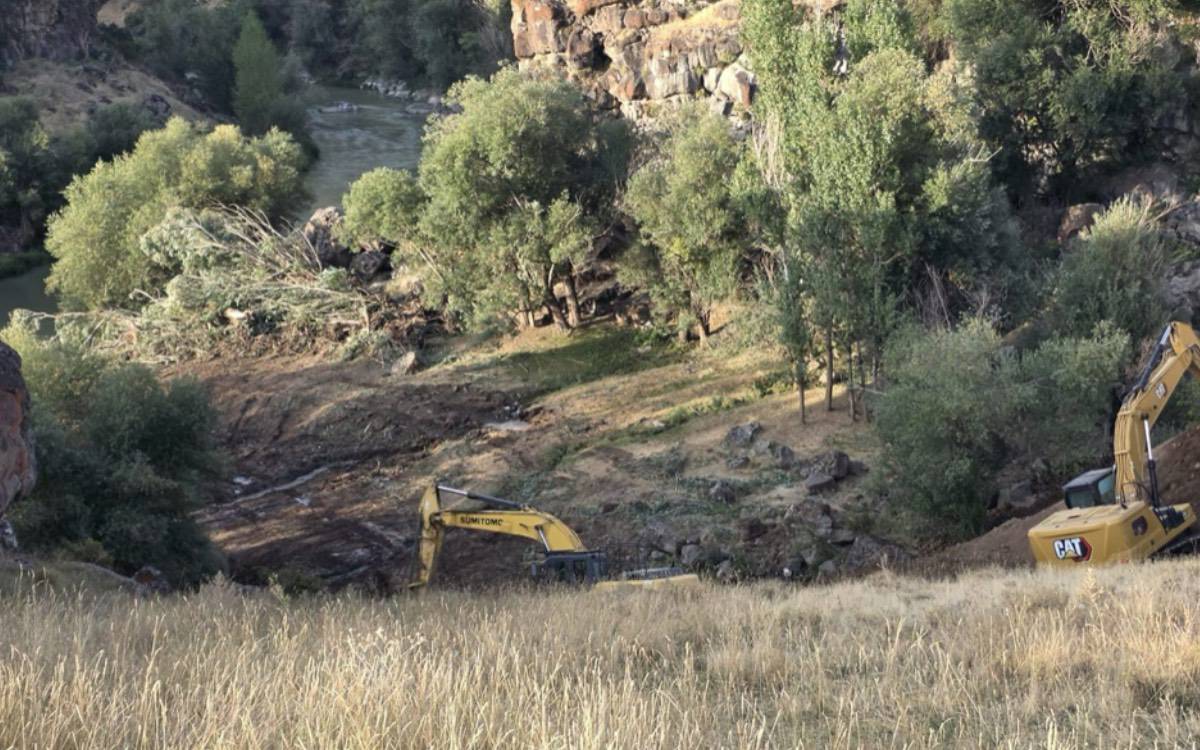 Dozer ketin Geliyê Zîlanê: Dar tên birîn û Zîlanê serûbin dikin