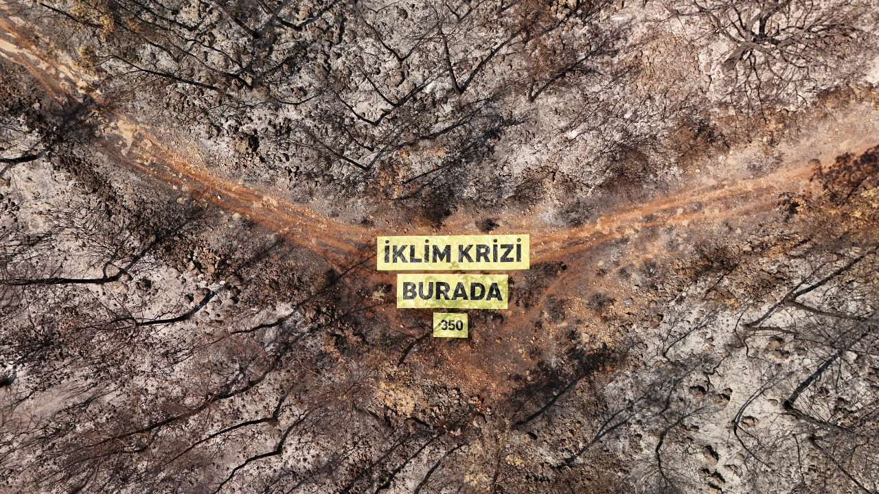 COP31'in yapılacağı bölgede yangın tahribatı: İklim krizi burada