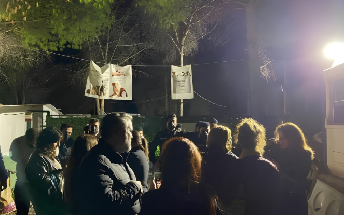 Ege Üniversitesi’nde polis baskınıyla toplanan yaklaşık 200 köpek nereye götürüldü?