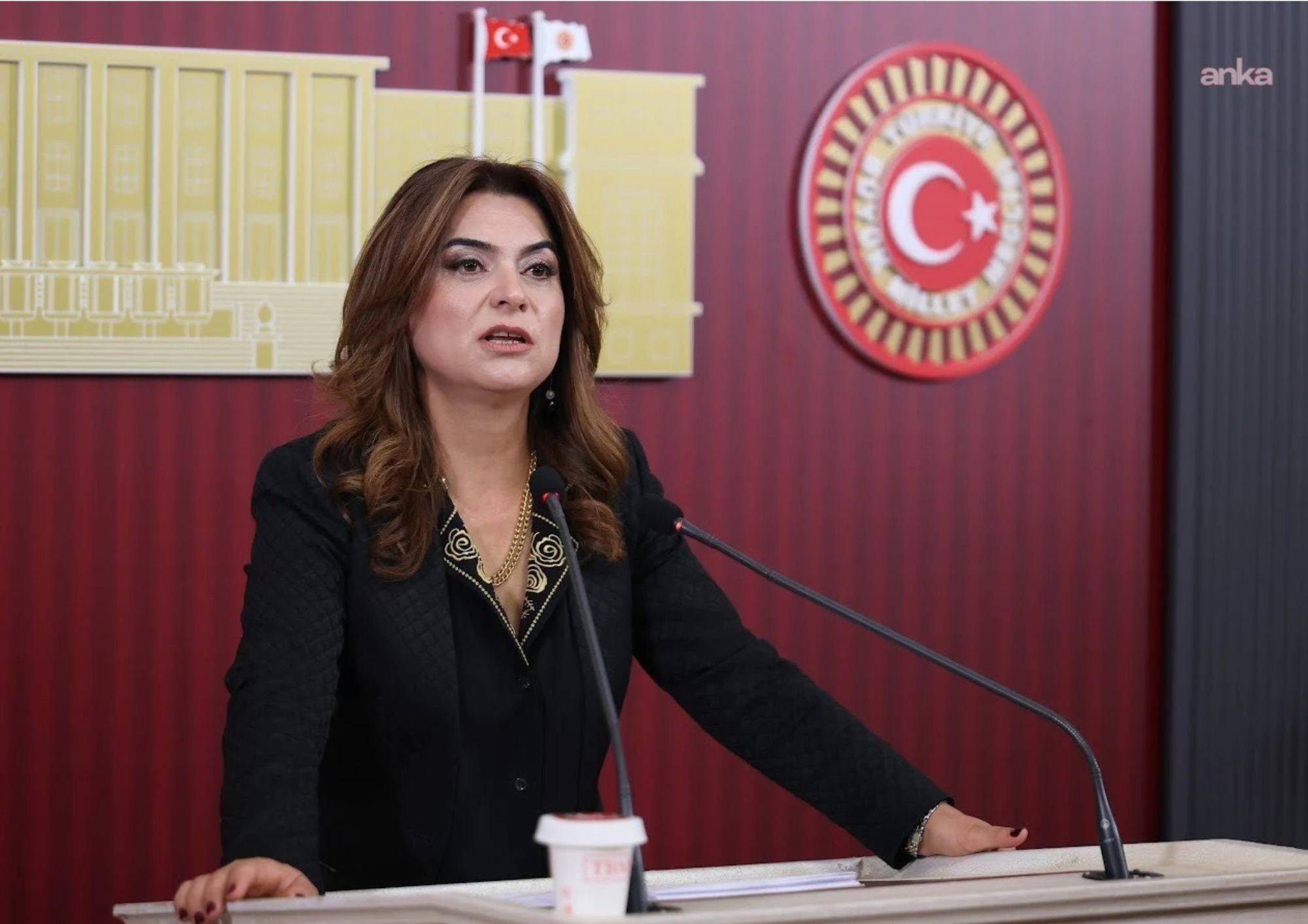 Koçyiğit’ten iktidara fon krizi soruları: Denetim görevini kim yerine getirdi?