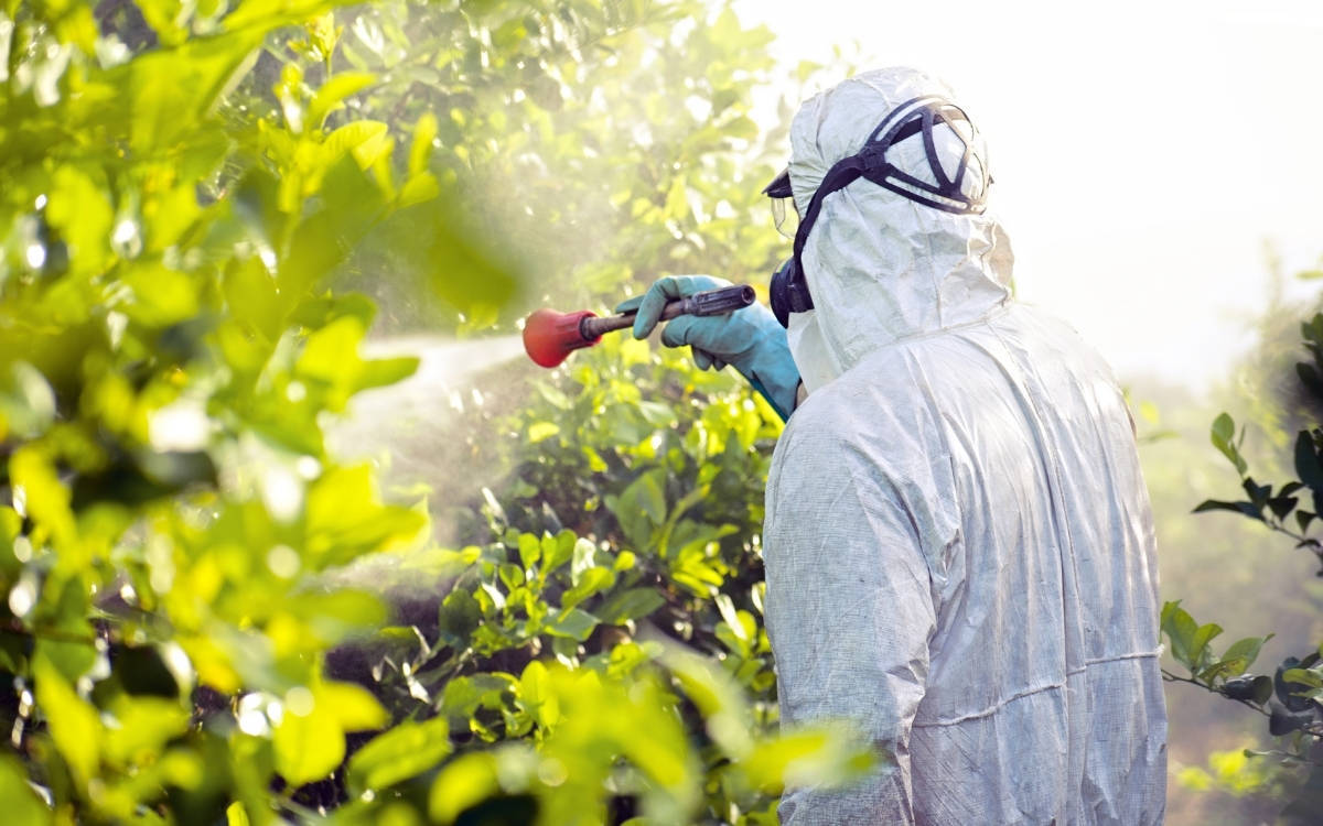 Banned chlorpyrifos detected in 27 food products exported from Turkey