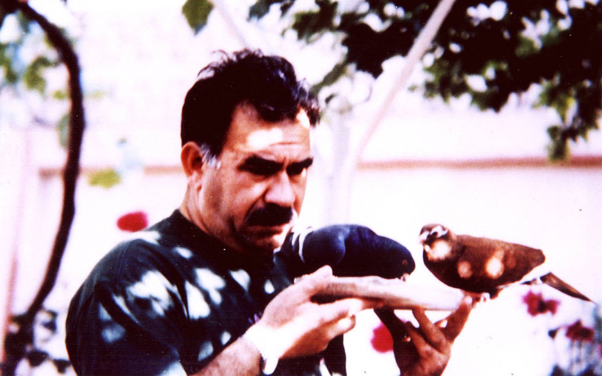 Toplumsal doğa ve sorunsallık