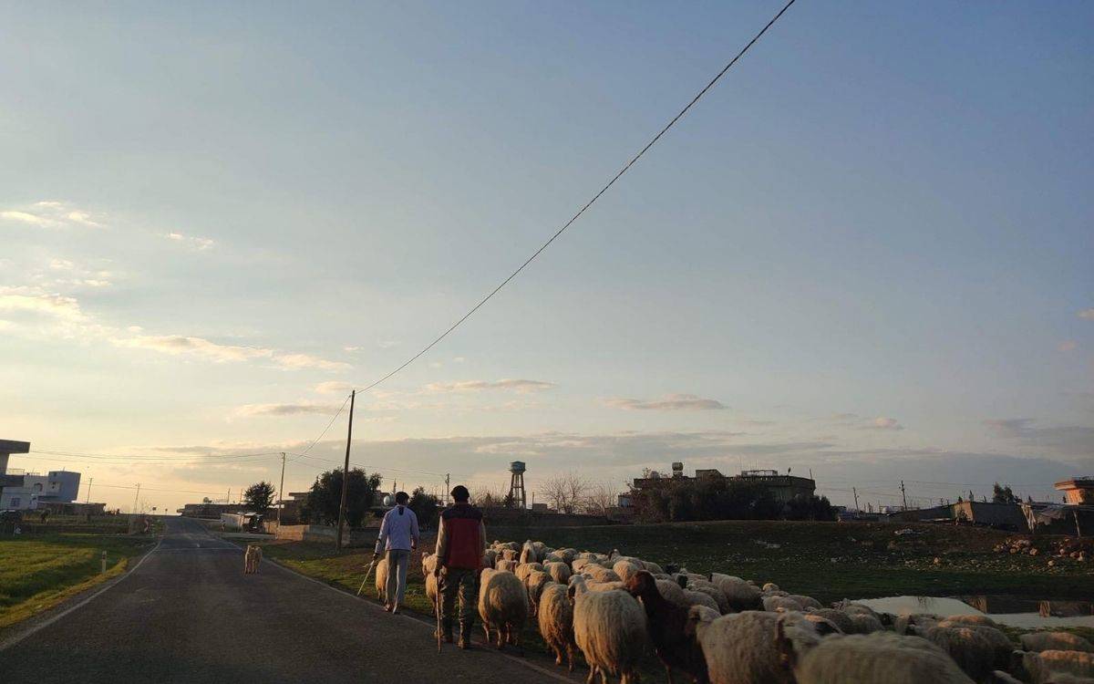 “Bir turist daha, bir komşu eksilir! Tourists go home!”