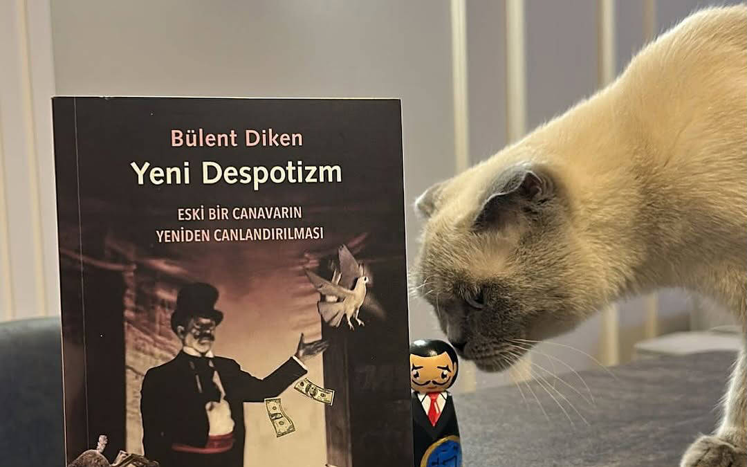 "Yeni Despotizm" üzerine...