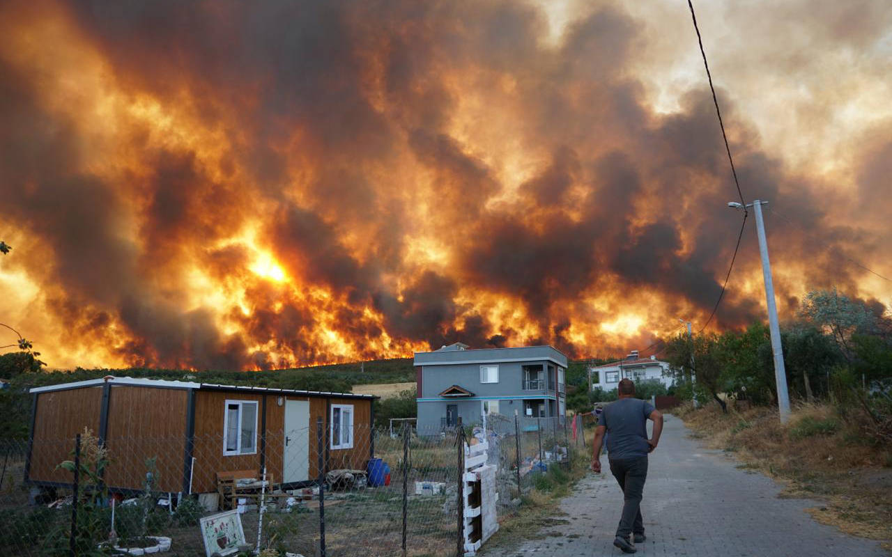 Ormanları kim yakıyor?