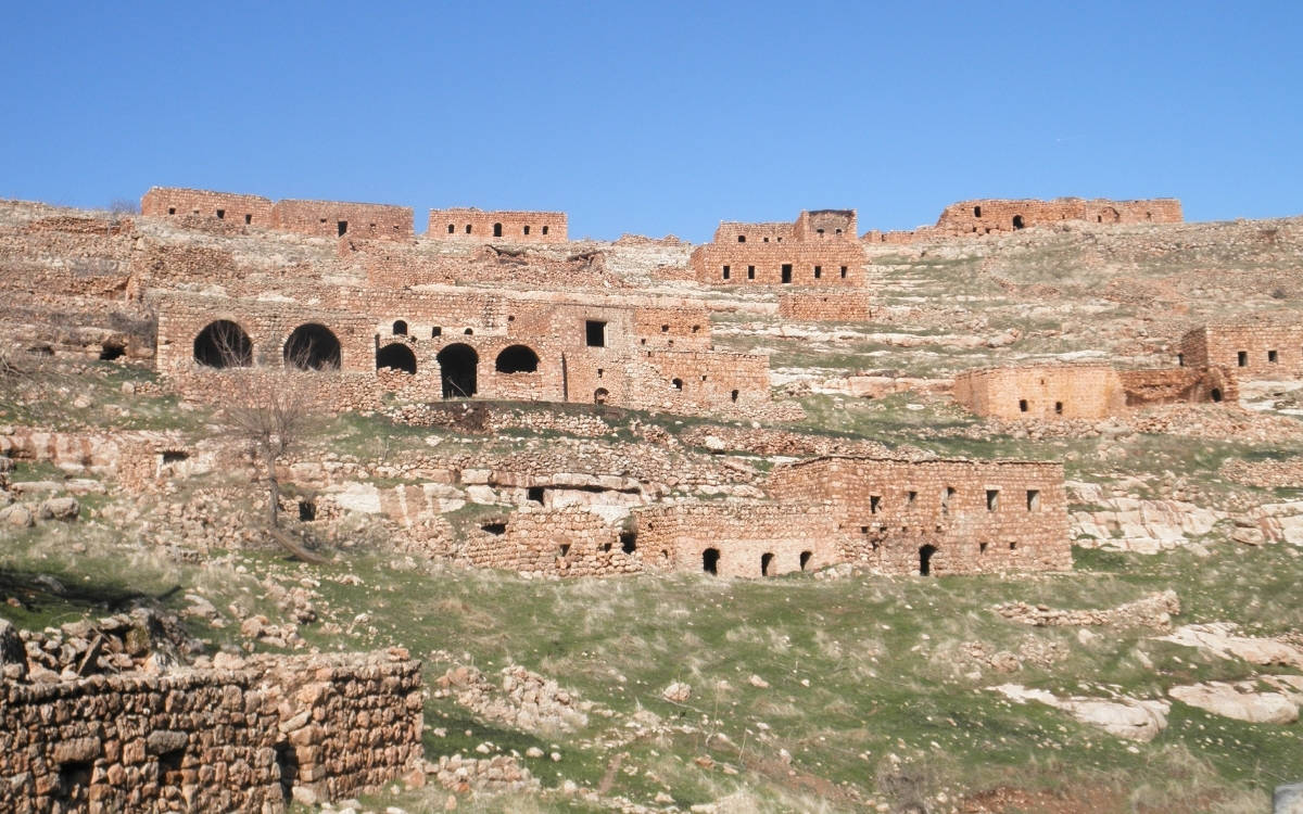 Köylerin külleri, profesörün kelimeleri: Doğum ve kül