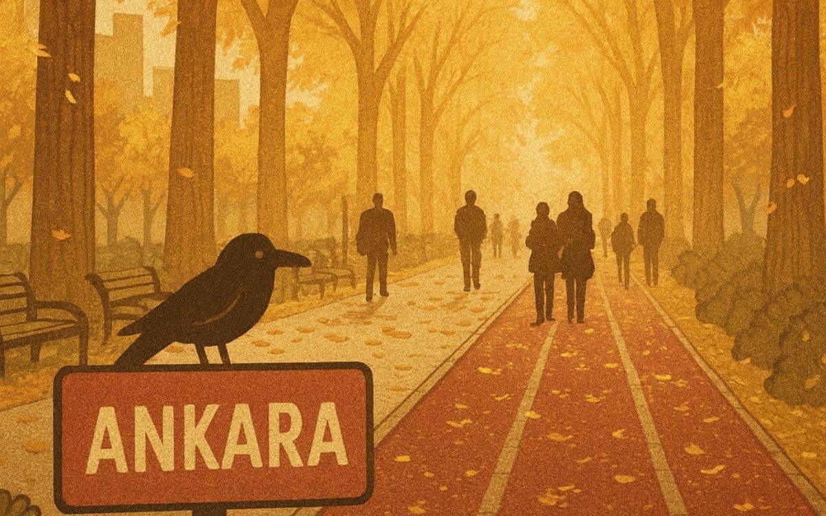 Yaya görünce titreyen arabalar