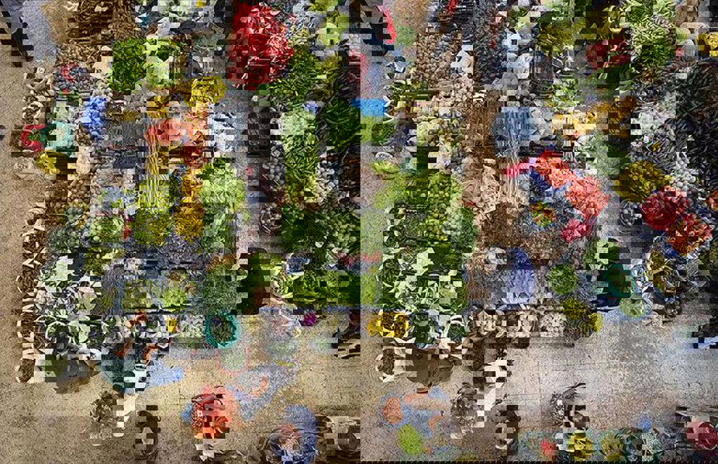 Tales from the Black Sea - II