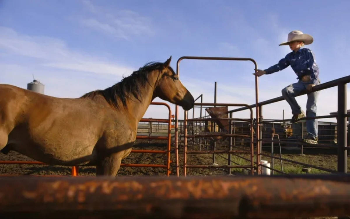 Şu perişan taşra, şanlı başkanla şürekâsına yaraşıyor mu?