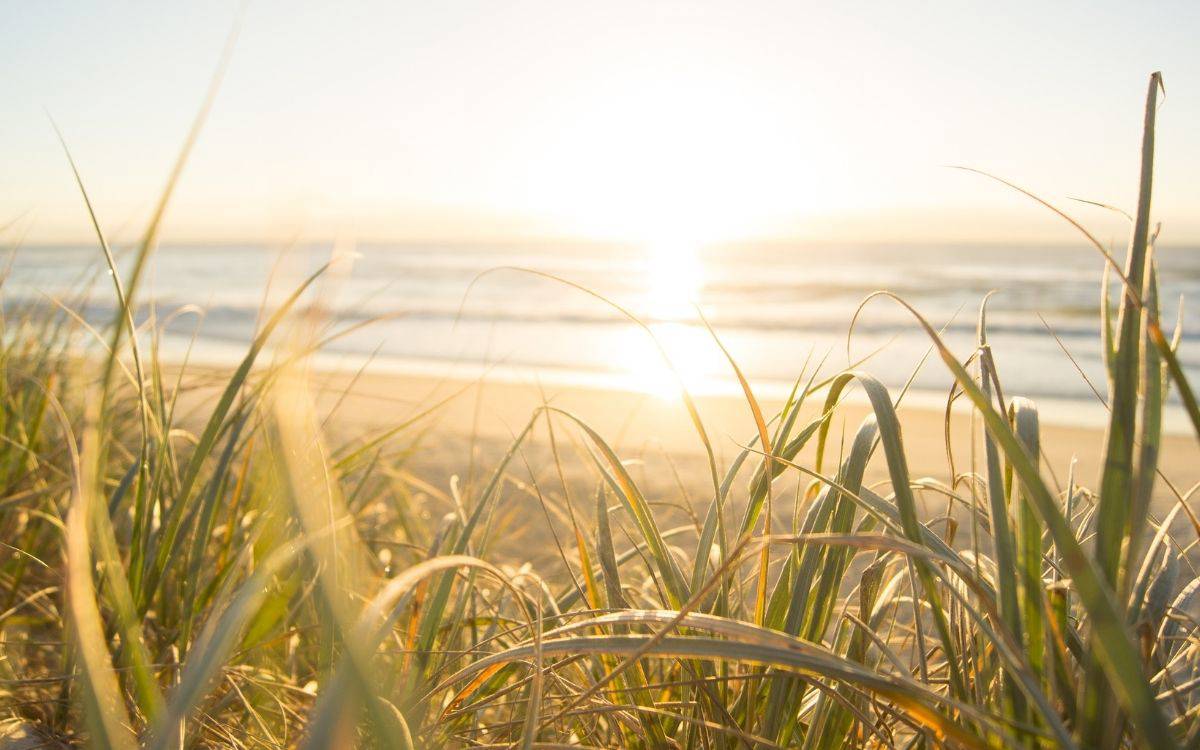 Ölüm bir denizin sıfatı olabilir mi?