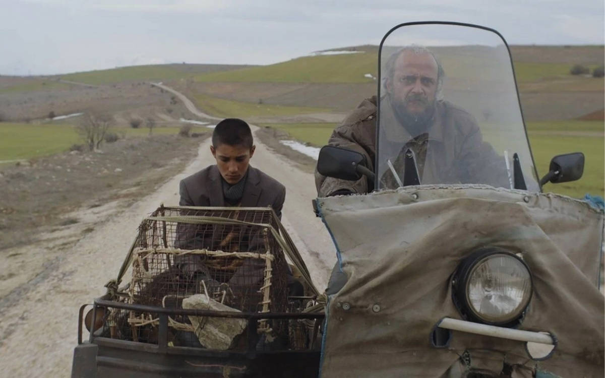 62. Altın Portakal Ulusal Yarışma filmleri: Mülteciler, yoksulluk ve erkek şiddeti