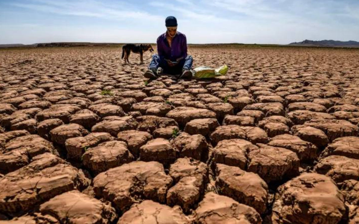 Isınan bir dünyada insan kalmak