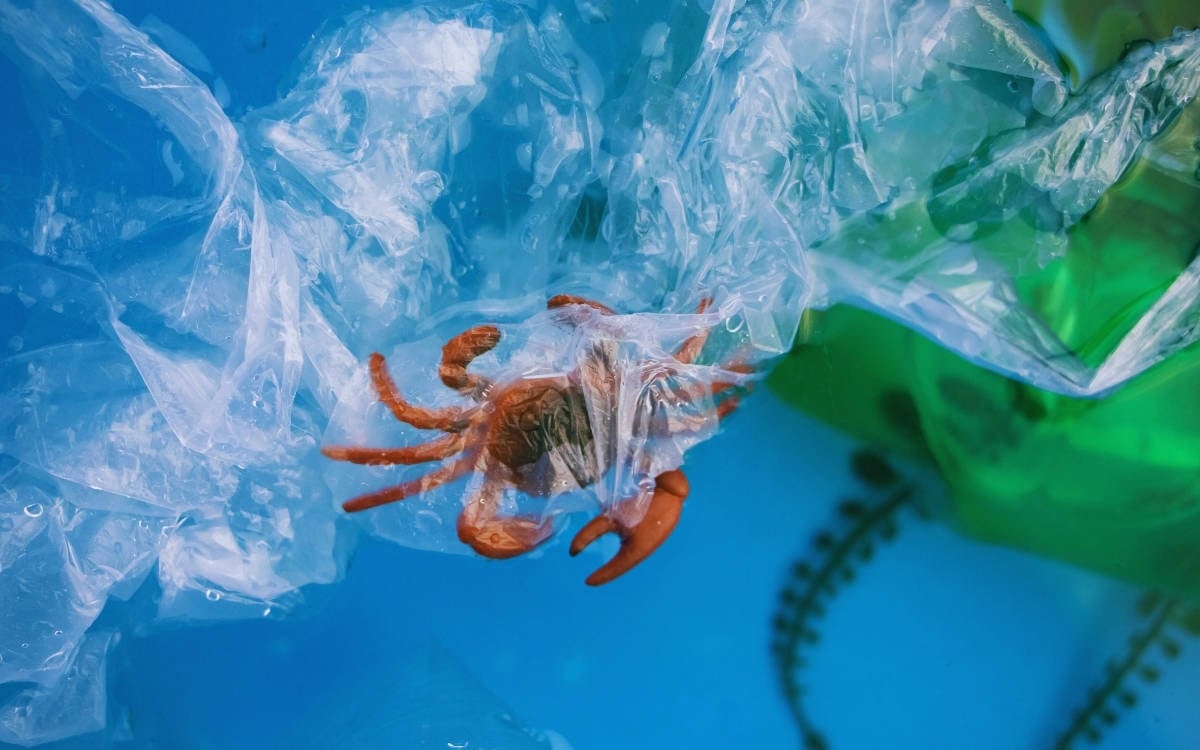 Atık: Ekolojik krizin sınıfsal yüzü