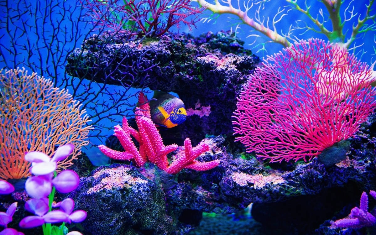 İklim krizi ve toplumsal sorumluluk