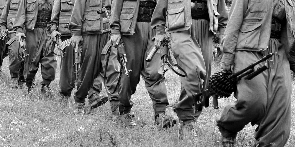 "Kök hücre yasası" bünyeye nasıl etki edecek?
