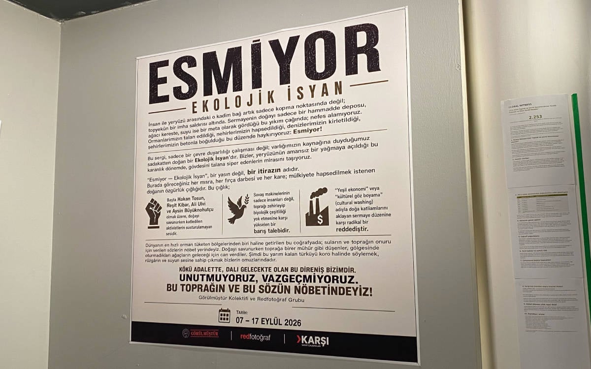 Demir parmaklıkları aşarak: “Esmiyor - Ekolojik İsyan” sergisi üzerine