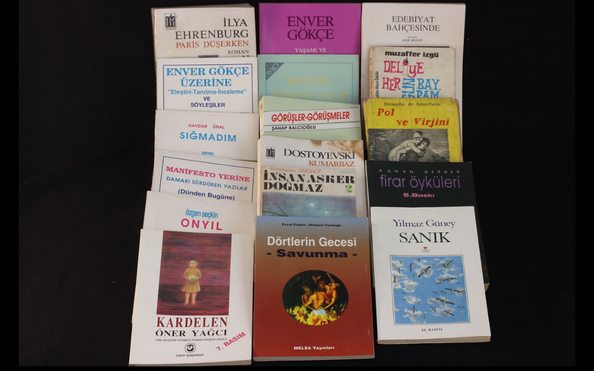 "Kitap Kurdu" Nurcan Şahin'in geride bıraktığı kitaplarından bazıları (18 yaşında, sanatçı)