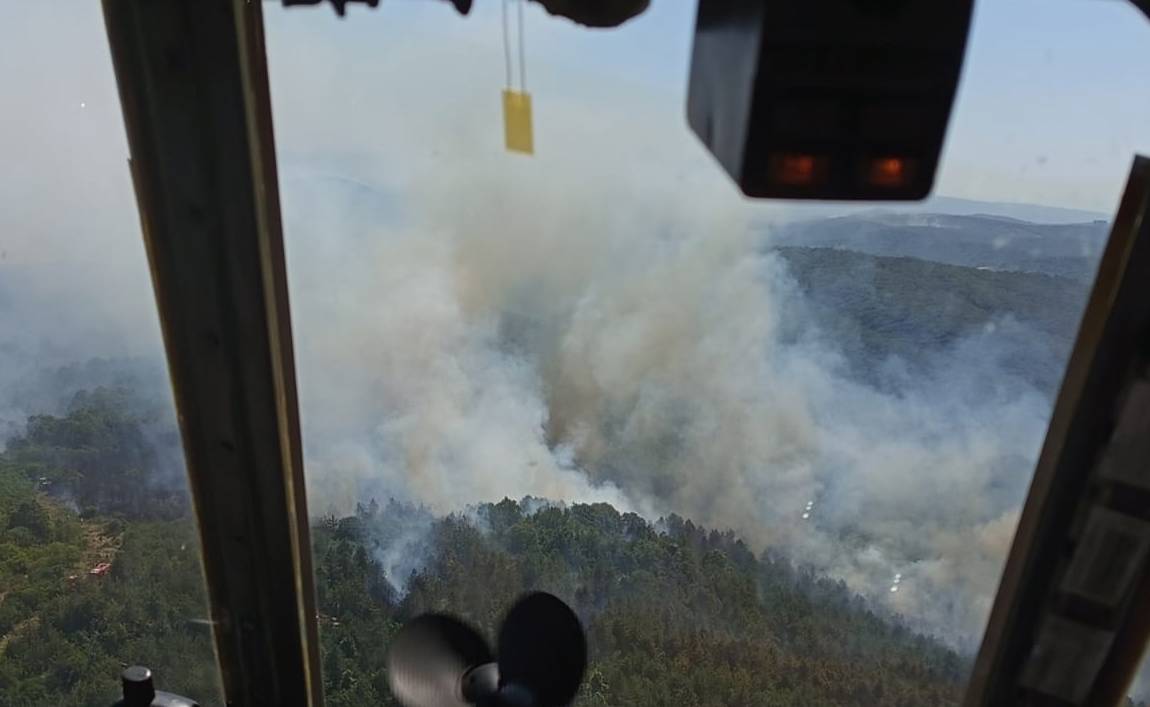 The Sakarya fire started at a General Directorate of Forestry warehouse.