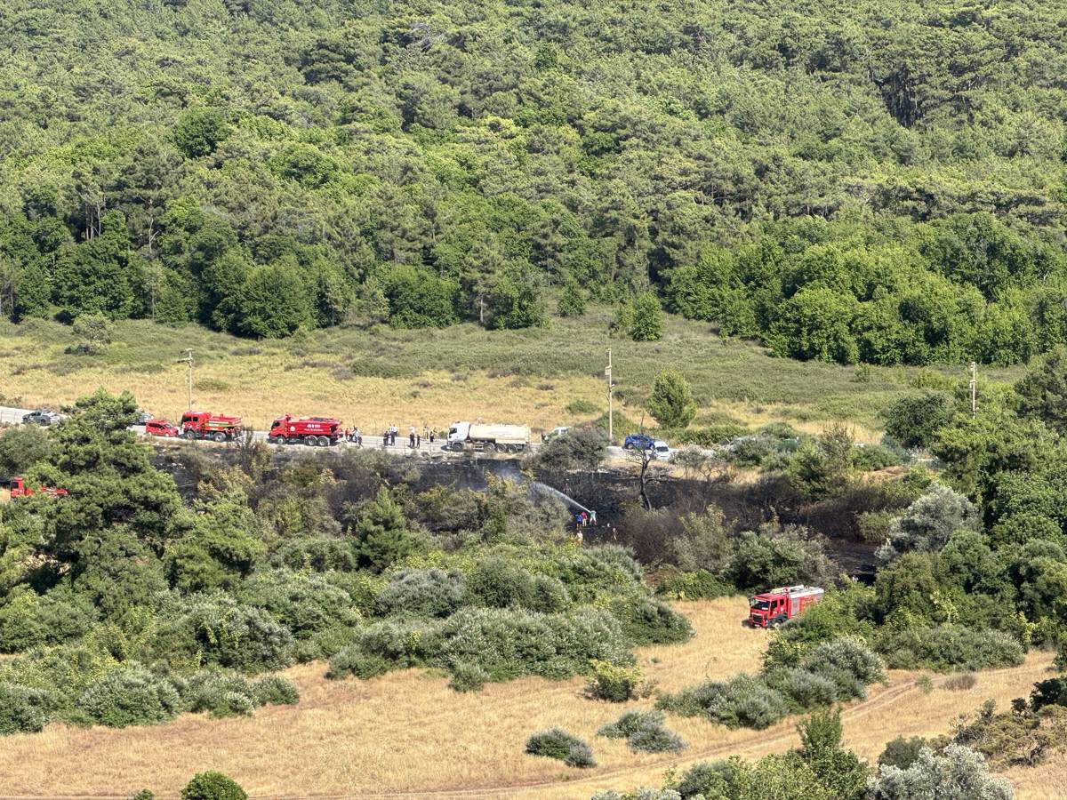 The fire affected 8 decares of land in Marmaris