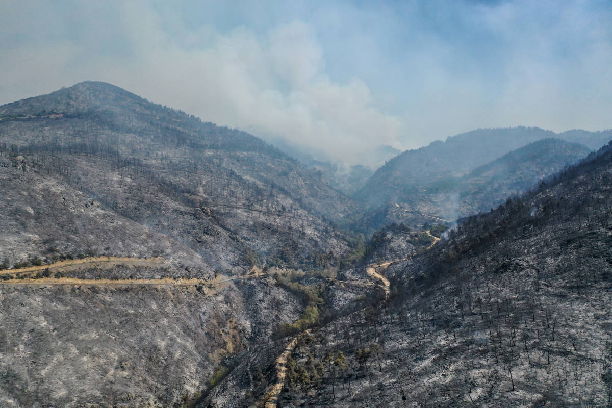 Aftermath of the Gürsu-Kestel fire