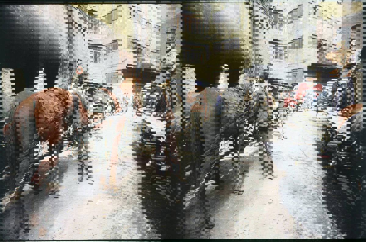 Leather workers and horse carts nearl leather factories