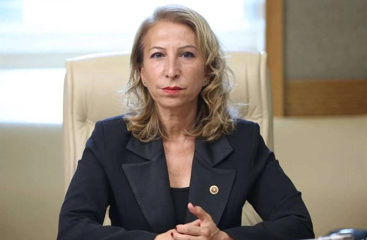 *YENİ Parti Muğla Milletvekili Süreyya Öneş Derici.