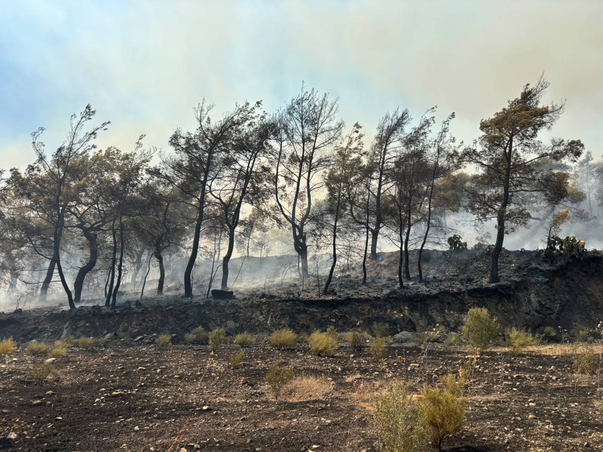 A forested area razed in Kumluca