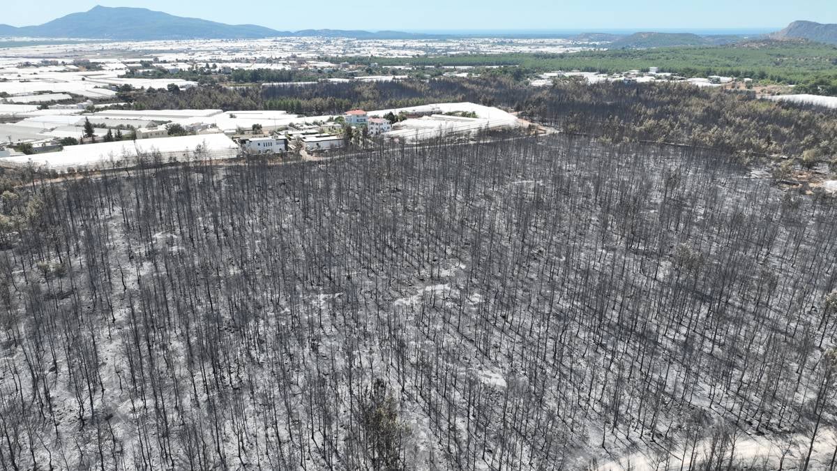 Wildfires razed a forested area in Kaş, Antalya on Sep 1
