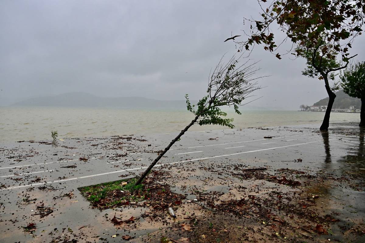 Bosphorus shoreline in Sarıyer