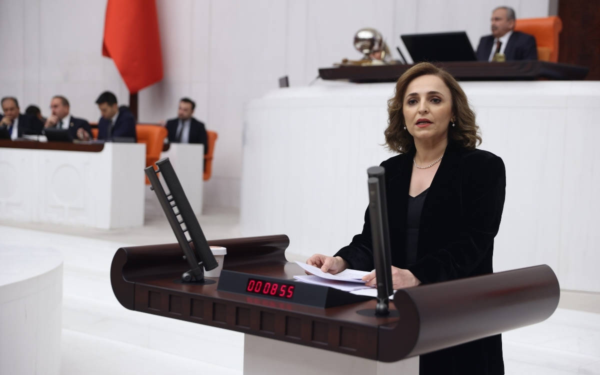 Ayşegül Doğan: 'All press cards are under the control of Directorate of Communication'