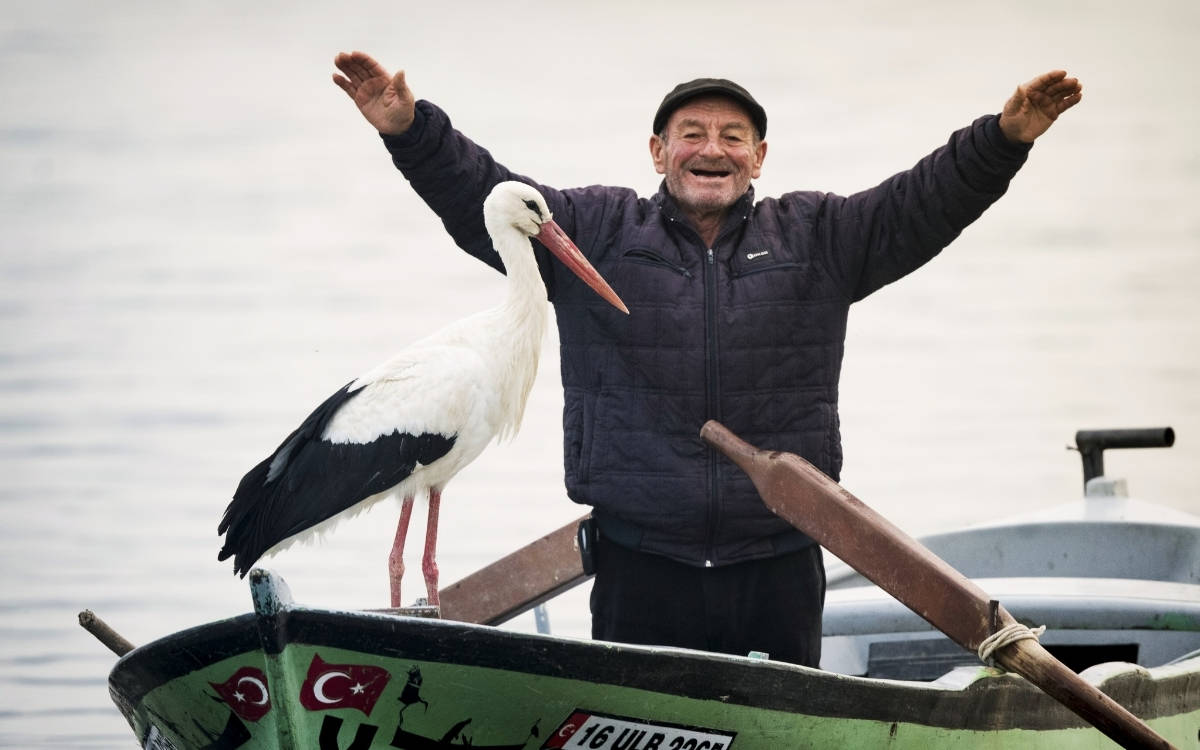 Yaren stork returns to Bursa, Eskikaraağaç for the 13th year