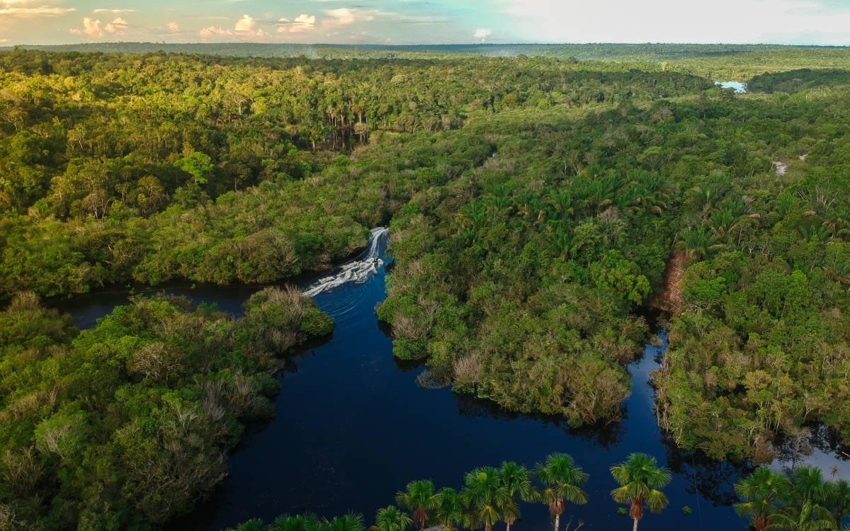 Amazon Ormanları, kuraklık nedeniyle kendini ‘kritik düzeyde yavaş’ yeniliyor