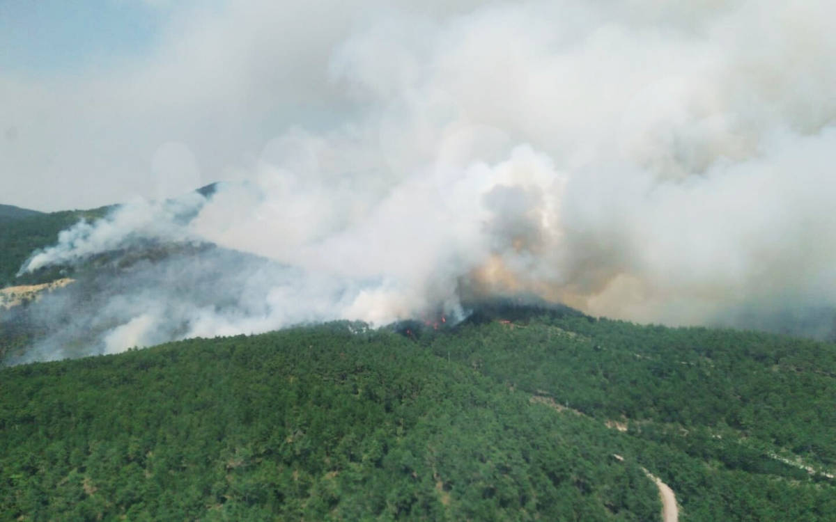 Antalya ve Bursa’da orman yangını