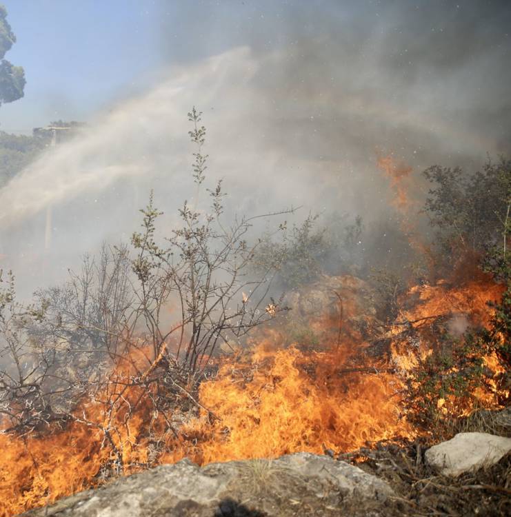 Yunanistan’daki 52 orman yangınından 44’ü kontrol altına alındı