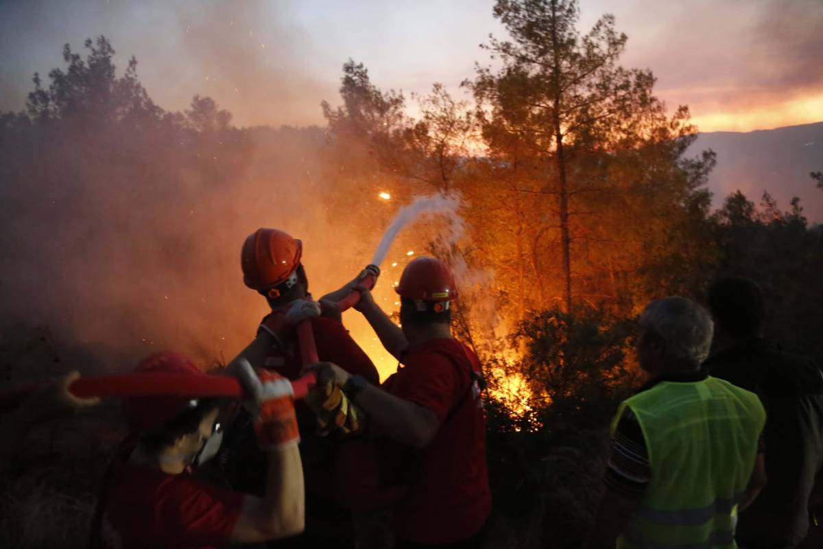 Turkey saw 247 wildfires in four days amid high temperatures