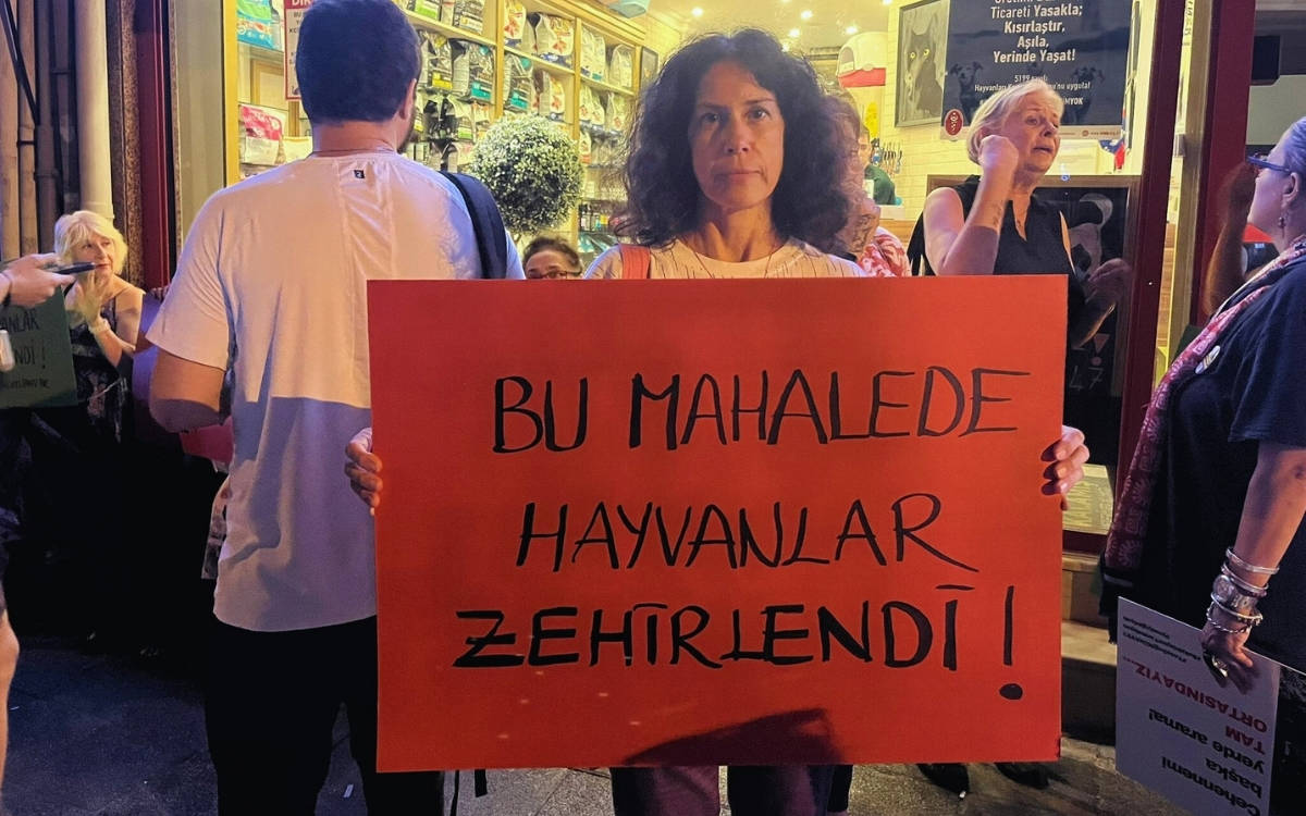 “Zehirlenen, öldürülen her hayvanın hesabını soracağız”