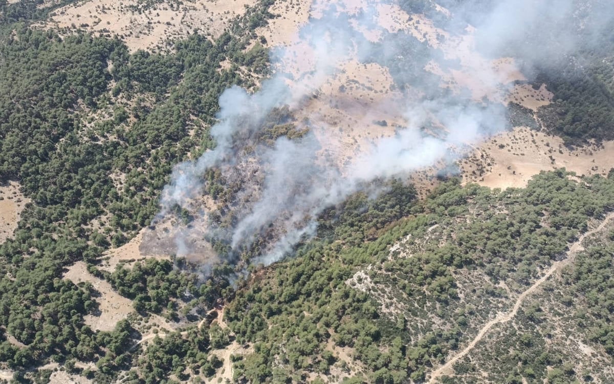 Antalya Kaş'ta orman yangını