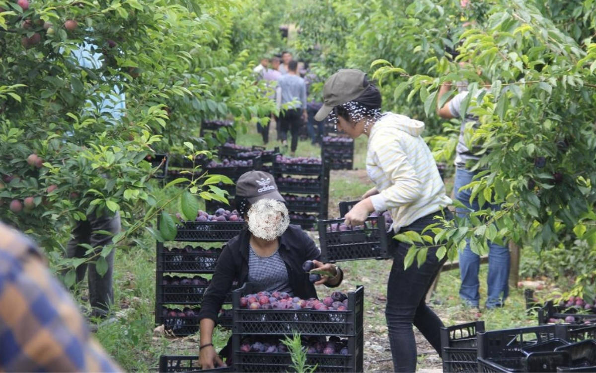 Son bir yılda işte değil sınıfta olması gereken en az 66 çocuk çalışırken öldü