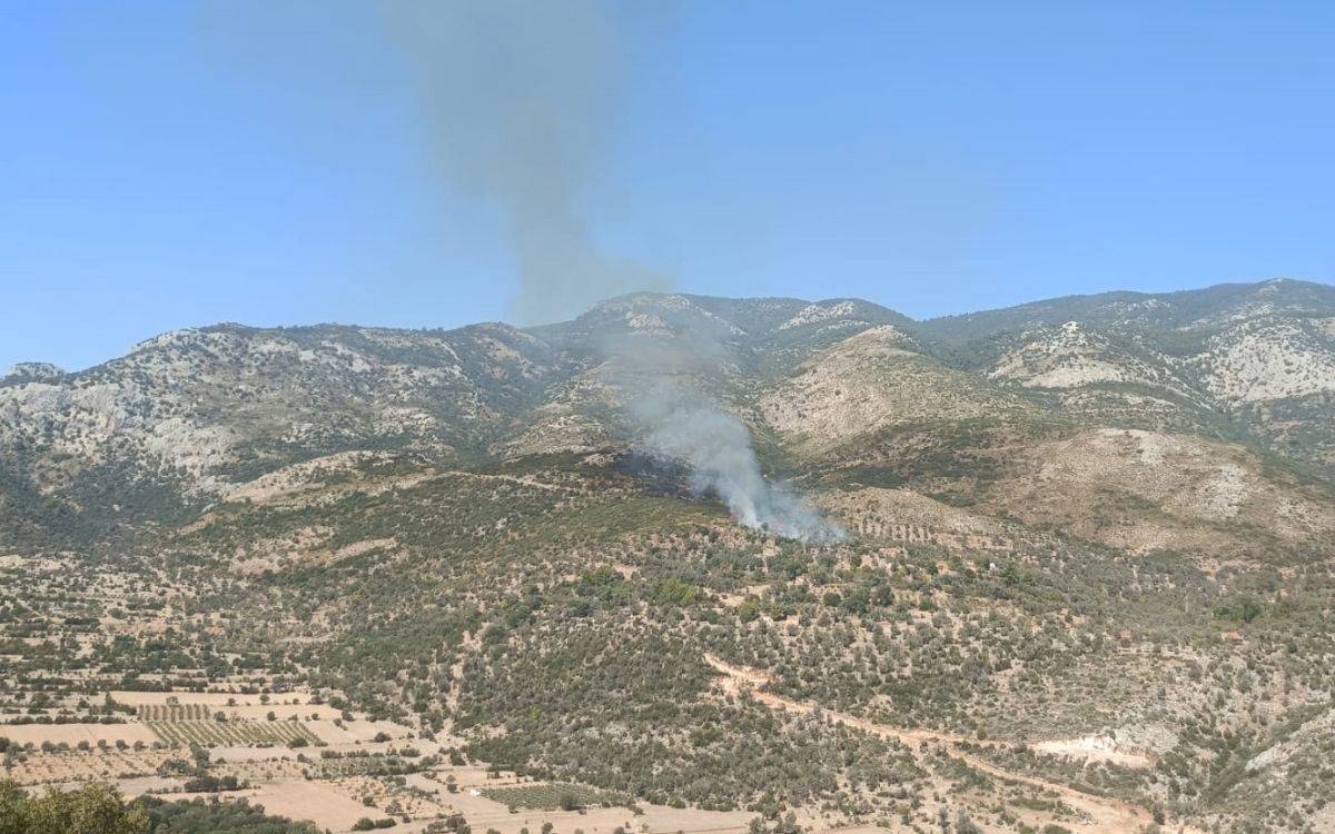 Muğla'da tarım alanında yangın: 2 hektar alan zarar gördü