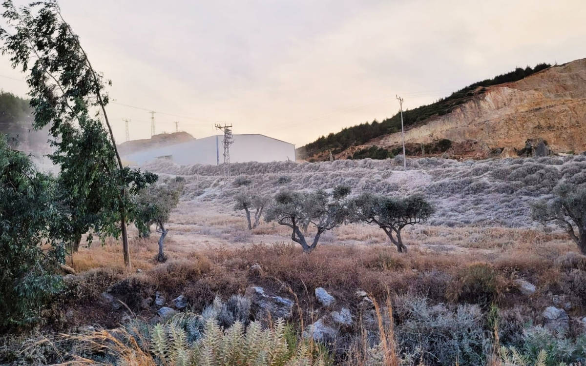 Concrete plant disrupts Hatay’s only greenspace amid post-quake recovery